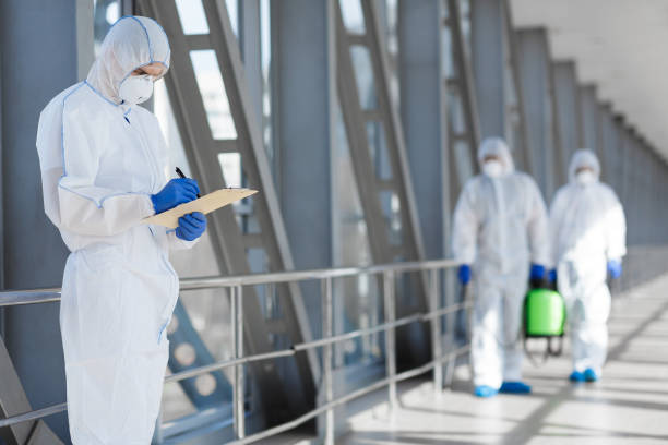 Best Dehumidification Services  in Mount Dora, FL