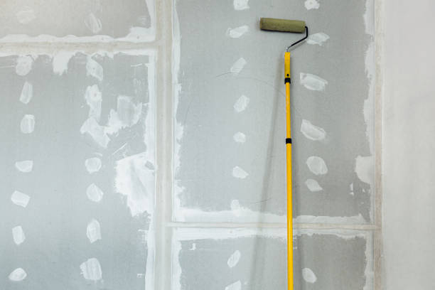 Best Mold Removal for HVAC Installations  in Mount Dora, FL