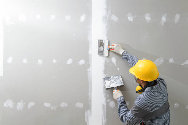 Best Mold-Related Health Consultation  in Mount Dora, FL