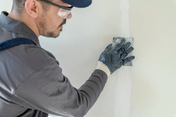 Best Comprehensive Air Testing for Mold Contaminants  in Mount Dora, FL