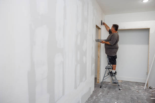 Best Attic Mold Removal  in Mount Dora, FL
