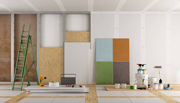 Best Mold Damage Restoration  in Mount Dora, FL