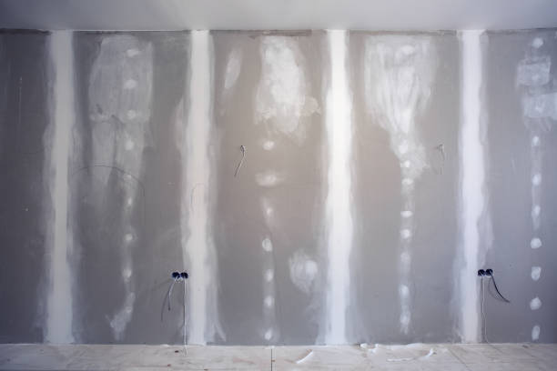 Best Water Damage & Mold Remediation  in Mount Dora, FL